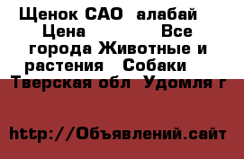 Щенок САО (алабай) › Цена ­ 10 000 - Все города Животные и растения » Собаки   . Тверская обл.,Удомля г.